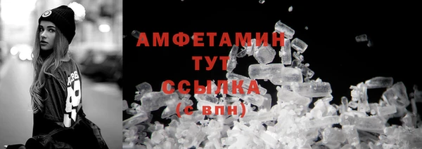 прущие грибы Аркадак