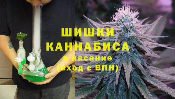 прущие грибы Аркадак