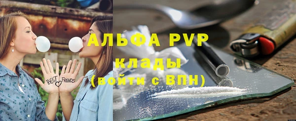 apvp Алзамай
