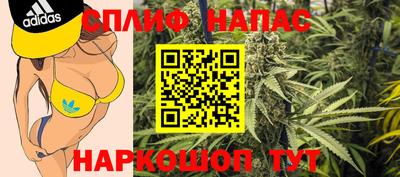 индика Новокубанск