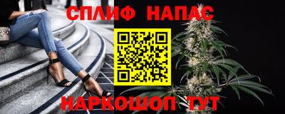 индика Новокубанск