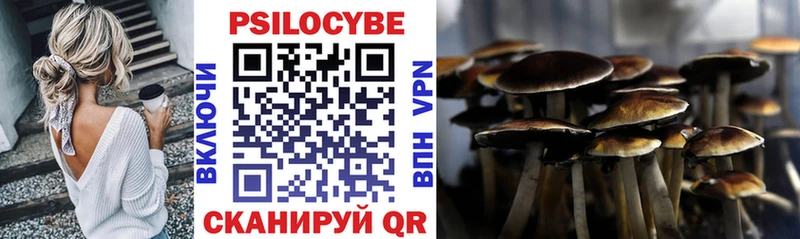 Псилоцибиновые грибы мухоморы  Строитель 