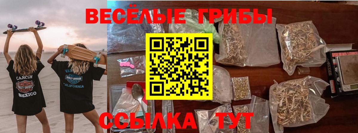Псилоцибиновые грибы Cubensis  Вход с VPN  Строитель  Галлюциногенные грибы мухоморы 