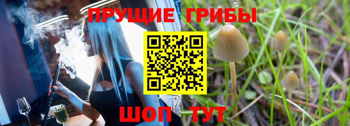 Галлюциногенные грибы Cubensis Строитель